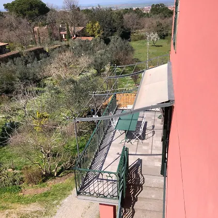 Farinella Viterbo