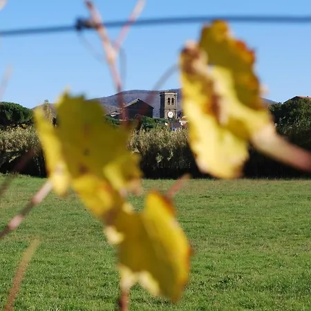 Bed & Breakfast Farinella 3*