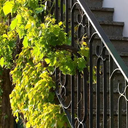 Farinella Bed & Breakfast 3*